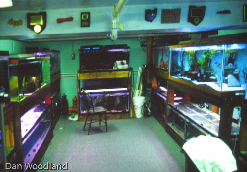 Don's finished fish room