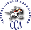 Capital Cichlid Association